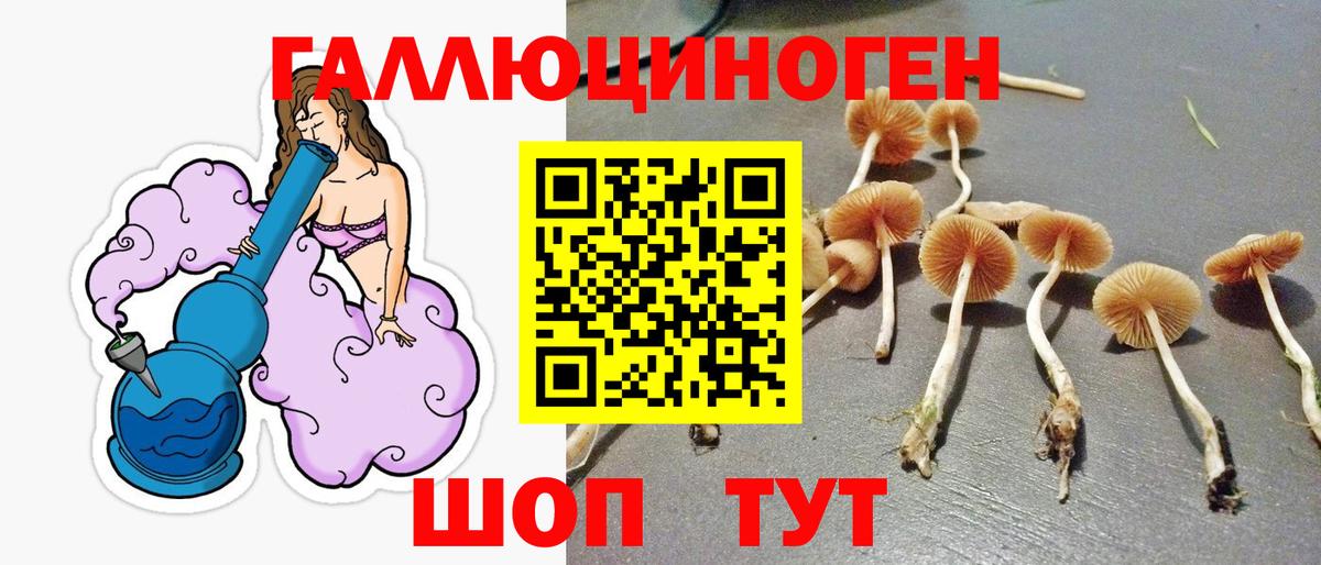 Галлюциногенные грибы мухоморы Улан-Удэ